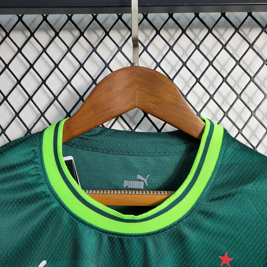 23/24 Palmeiras Home Women´s Shirt