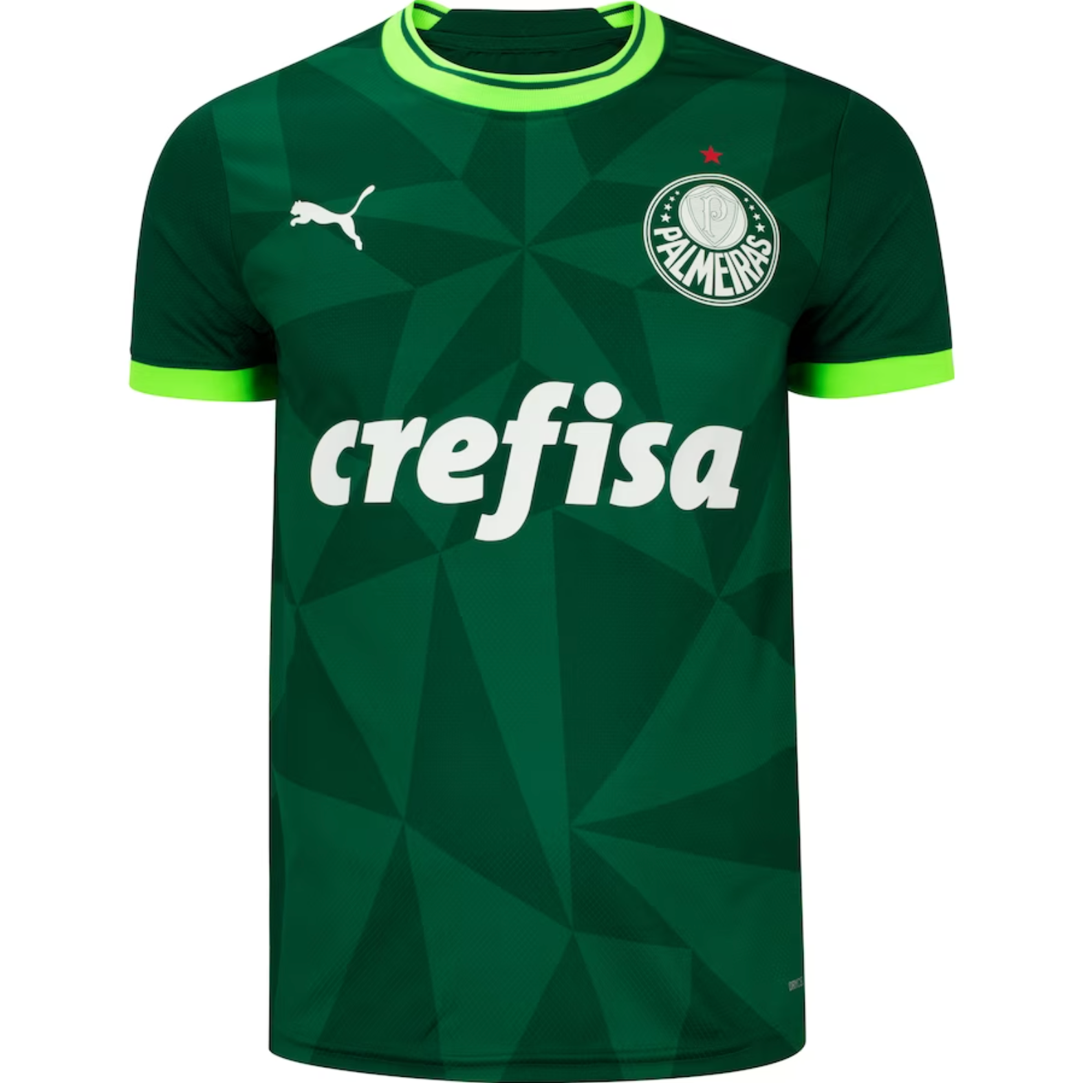 23/24 Palmeiras Home Jersey