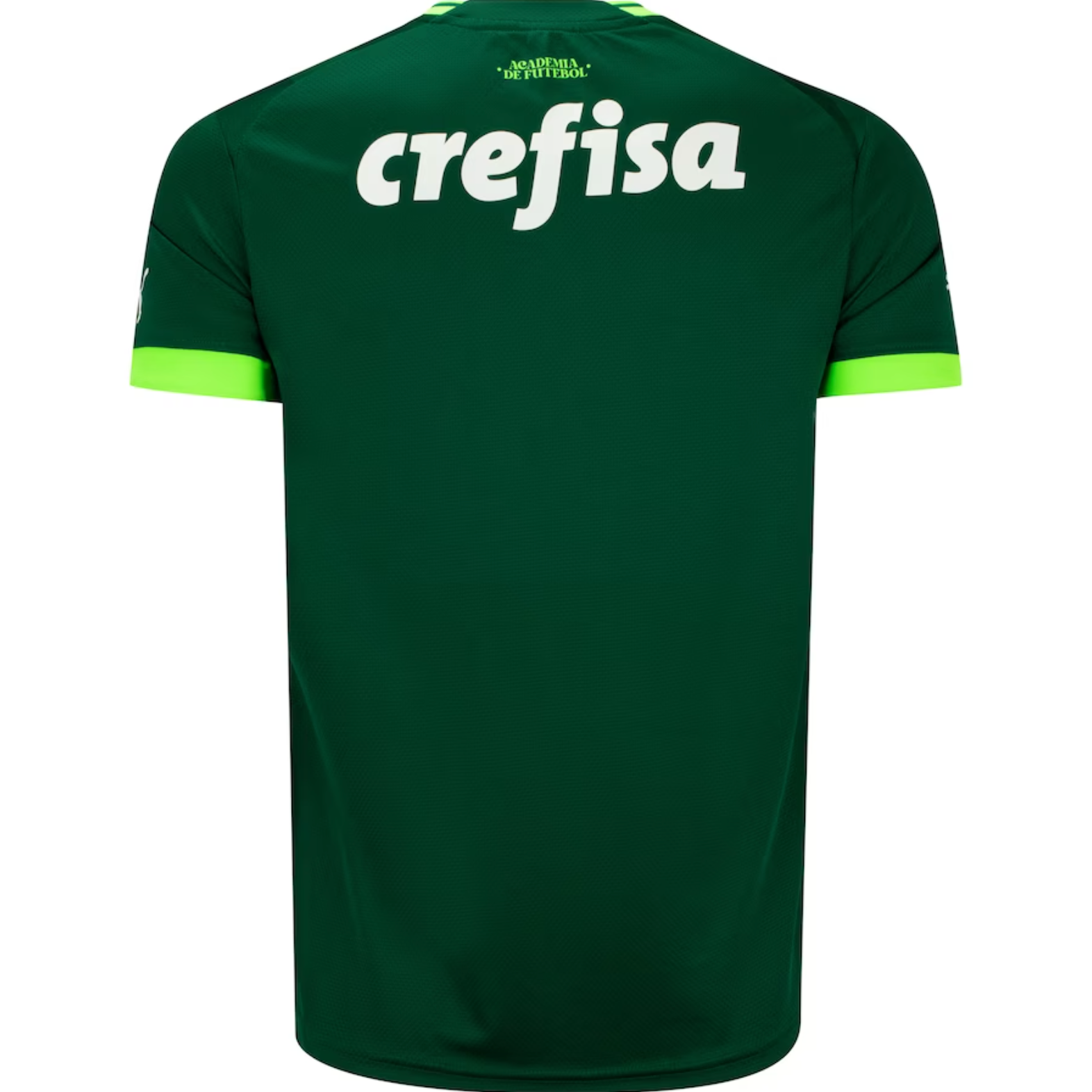 23/24 Palmeiras Home Jersey