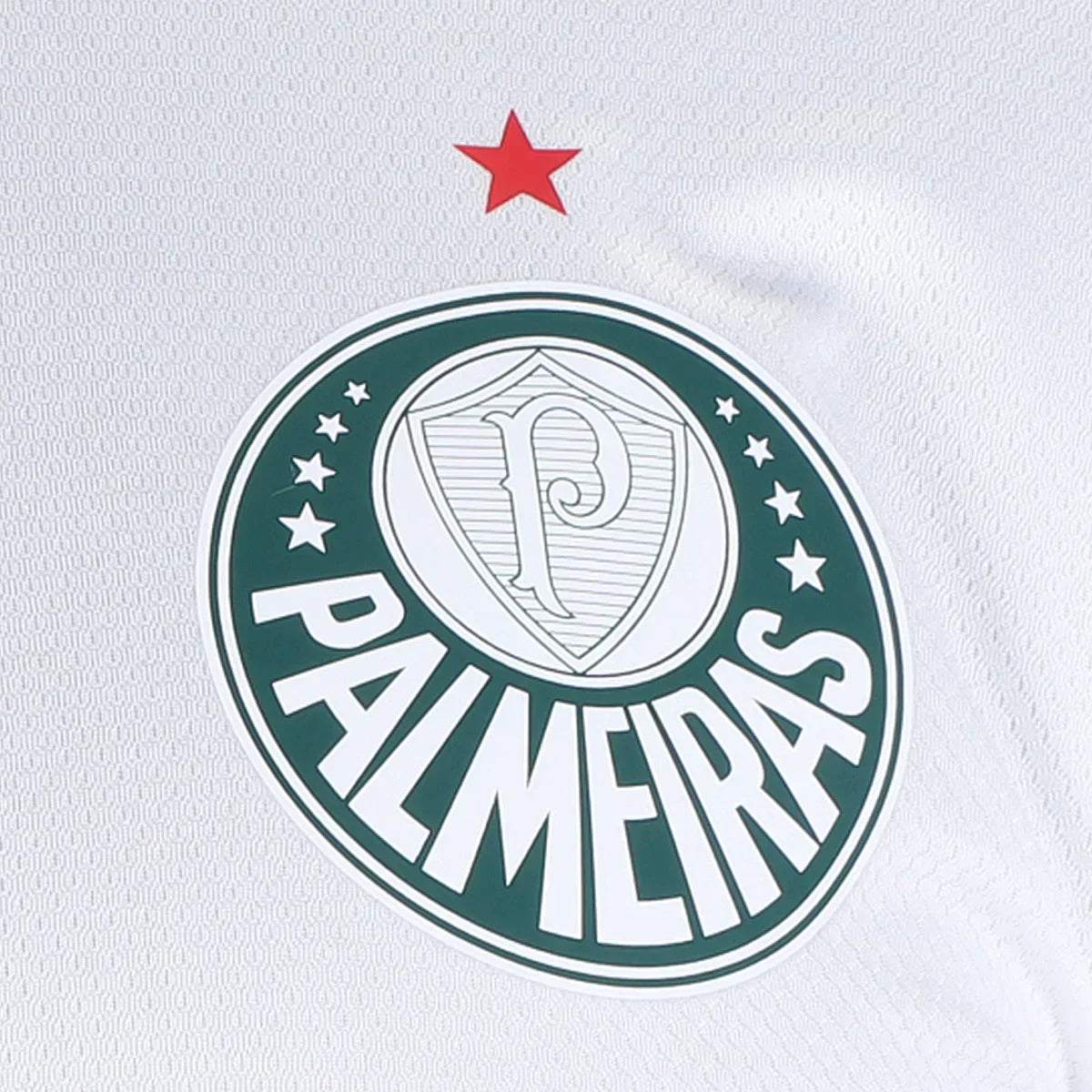 23/24 Palmeiras Away Jersey