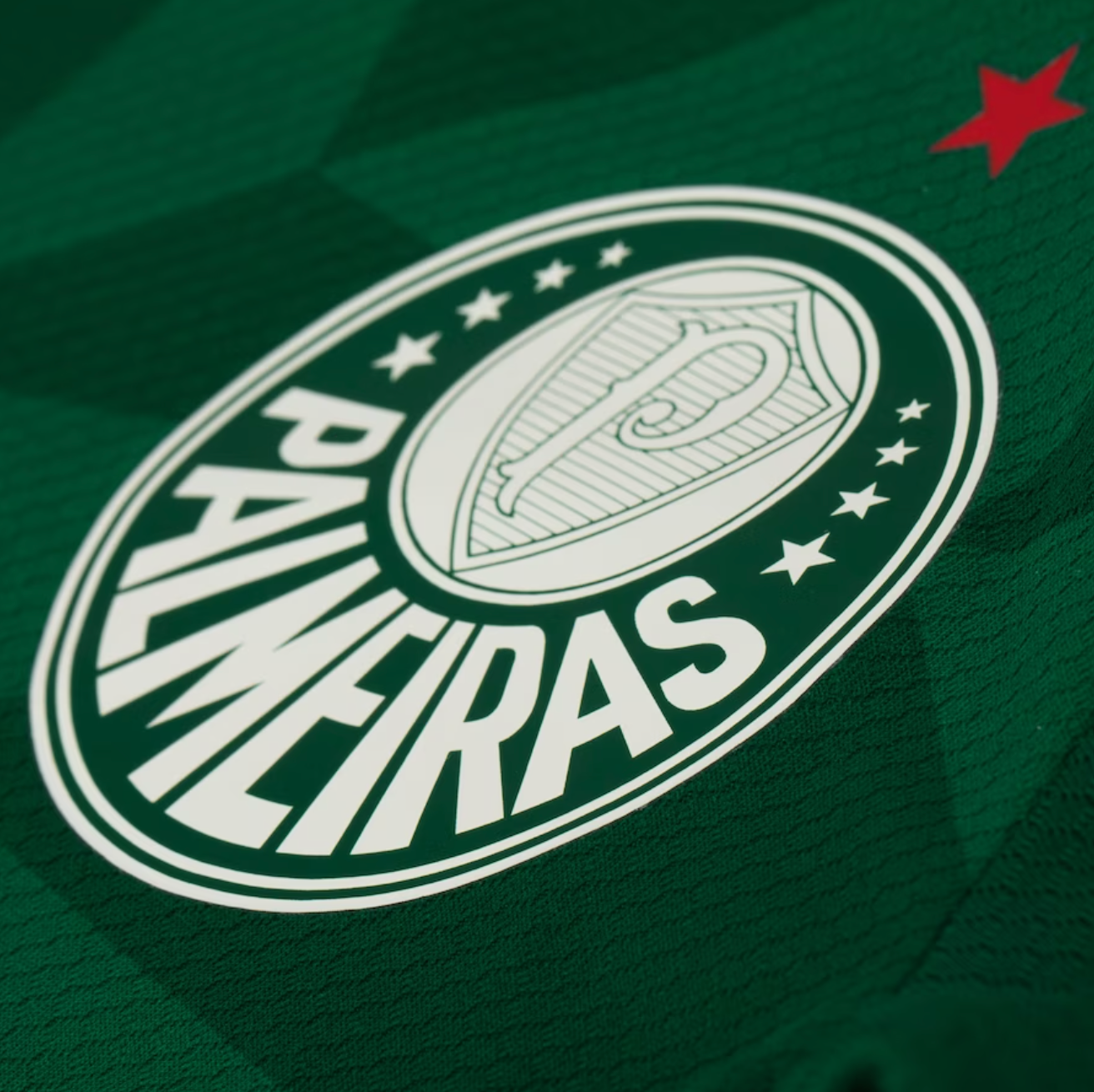 23/24 Palmeiras Home Jersey