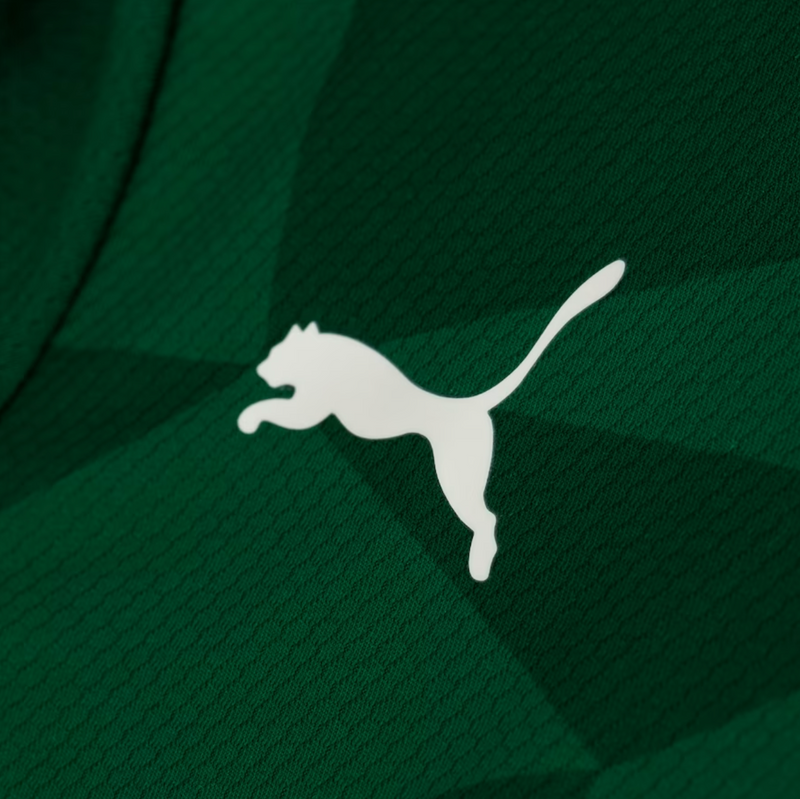 23/24 Palmeiras Home Jersey