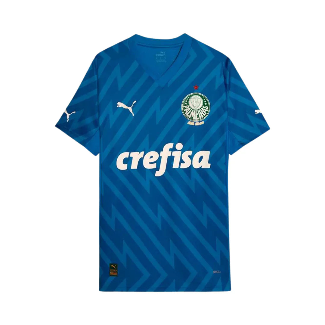 24/25 Palmeiras GK Jersey