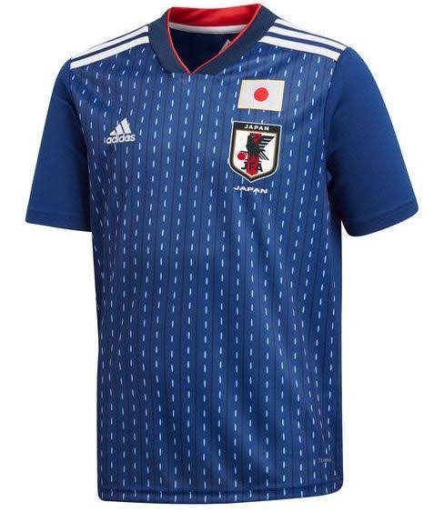 2019 Japan Jersey