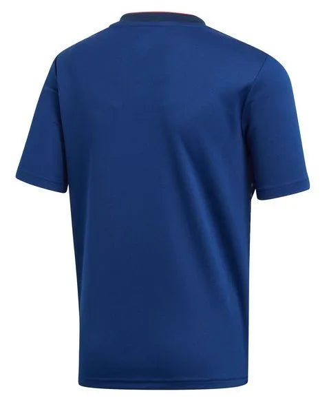 2019 Japan Jersey