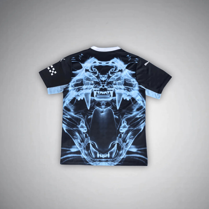 Manchester City Jersey – Special Edition
